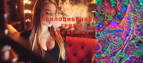 a pvp Медногорск